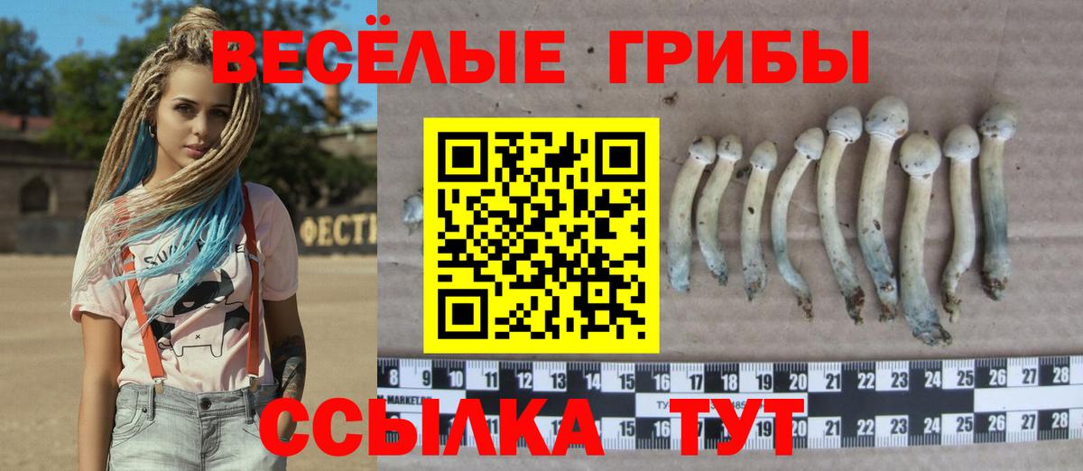 Галлюциногенные грибы мицелий Белорецк
