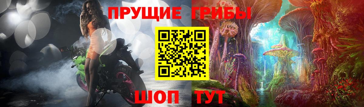 Псилоцибиновые грибы GOLDEN TEACHER  Галлюциногенные грибы мицелий  Белорецк  Вход с VPN 
